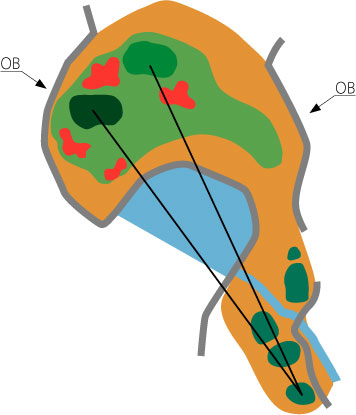 course4.jpg