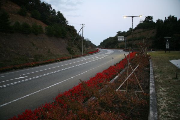 珠洲道路