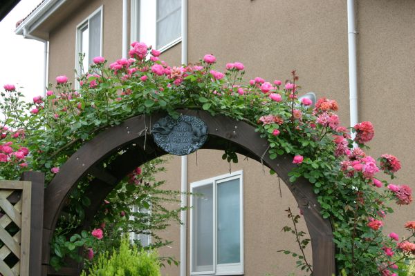 バラのアーチ