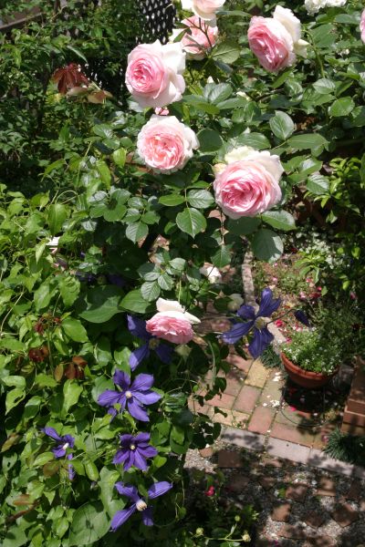 ピェール・ド・ロンサール