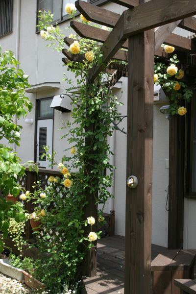 グラハム・トーマス