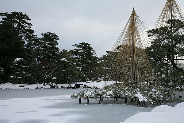 唐崎の松