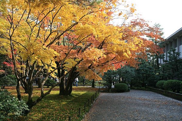 山崎山