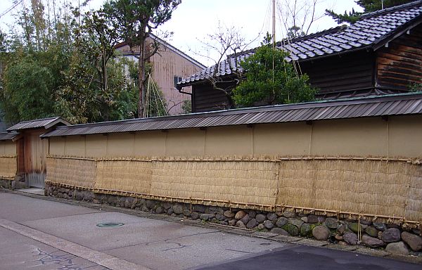 yukigakoi061211.jpg